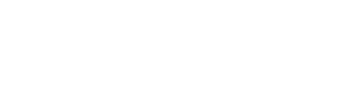 THIRTY81 Press