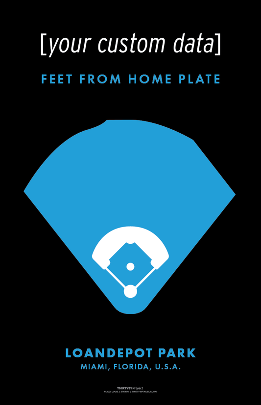 loanDepot Park Custom Print